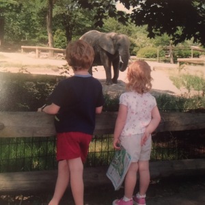 kids and elephants